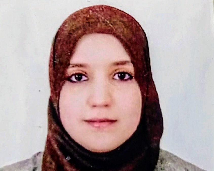 الدخول الاجتماعي