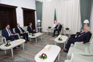 التعاون المصري الجزائري