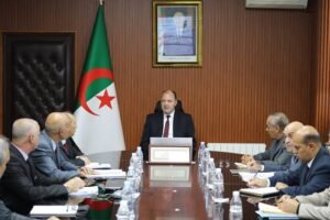 الأطراف الاصطناعية في الجزائر