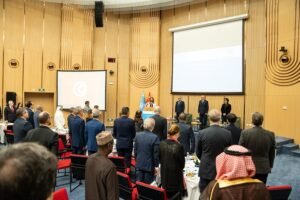 التعاون التونسي الأممي