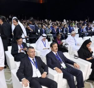 الاستثمار الجزائري