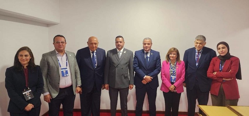 التعاون الجزائري المصري
