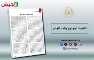 الجزائر وإفريقيا