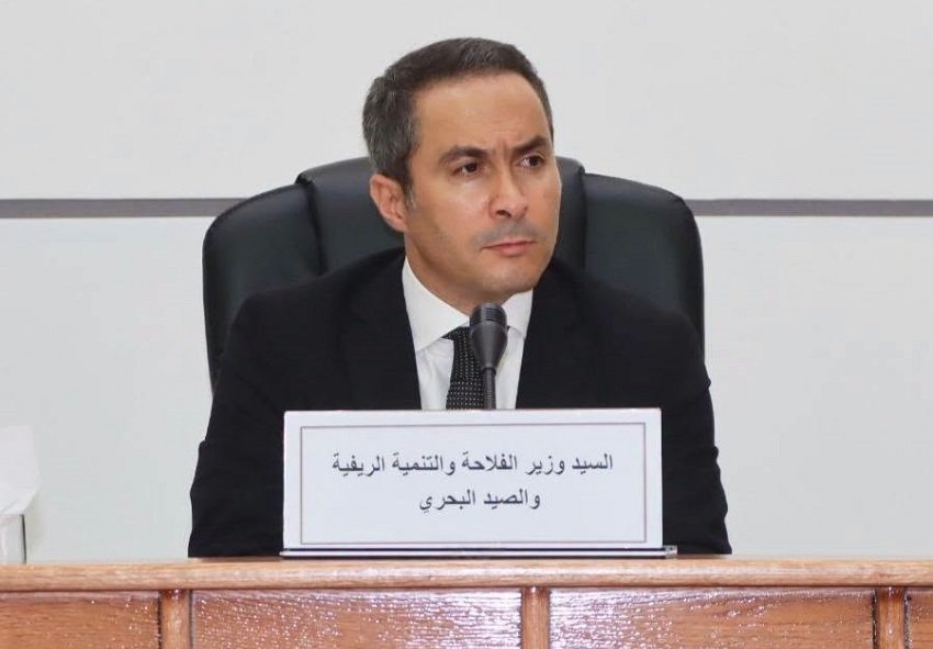 القمة الإسكندنافية